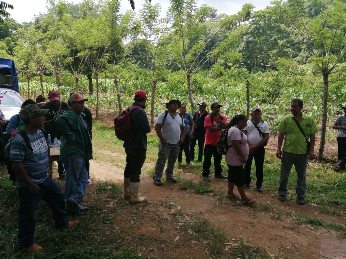 HubPSurCimmyt's tweet image. La agricultura sustentable se promueve fuertemente en #Oaxaca en vinculación entre equipo de #SembrandoVida y el #HubPSur se habló sobre las innovaciones para impulsarla, apoyando el desarrollo de los productores del IstmoHúmedo @ACCIMMYT @Jelle_VanLoon @CIMMYTesp @bramaccimmyt