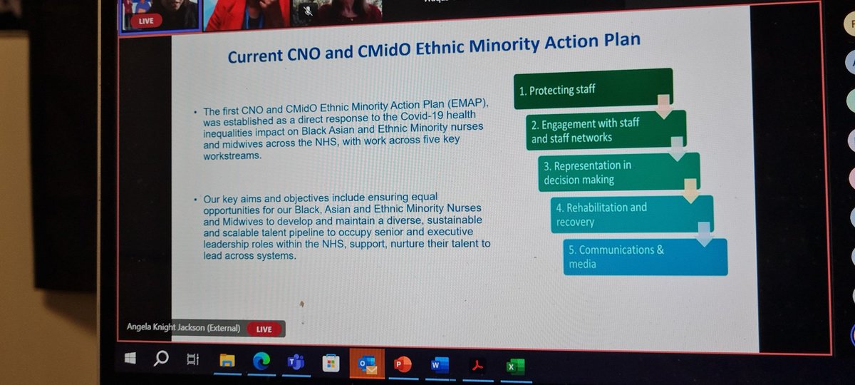 5 core elements of the CNO CMidO ehtnic minority action plan @AngelaKnightJa1 @duncan_CNSE