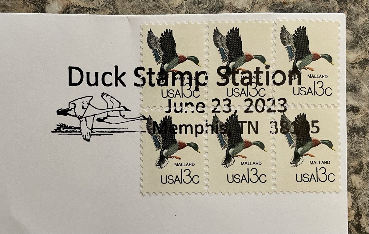 Is this the right kind of duck stamp?