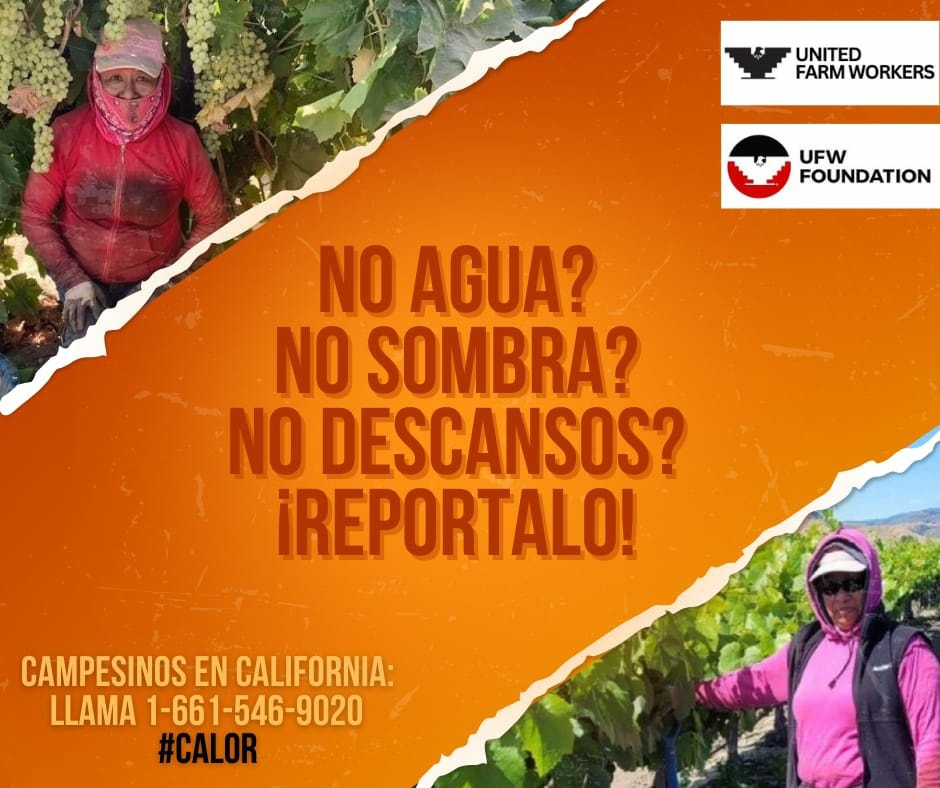UFWupdates's tweet photo. Remember to protect yourself from the dangers of heat. In California we have won laws. Don't risk your life. Farm workers, if there are violations for heat, shade or rest breaks report them to 661-546-9020. #CALOR #WeFeedYou https://t.co/Bbifa3j8xh