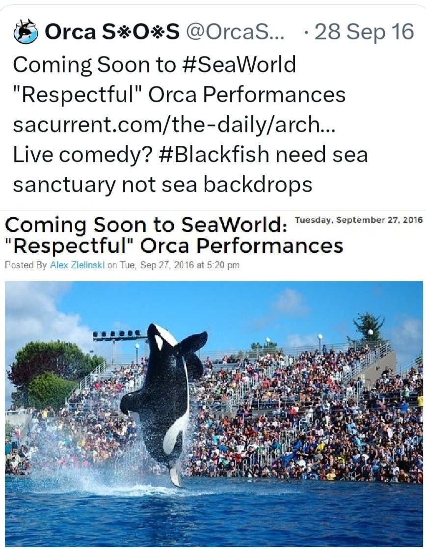 OrcaSOS's tweet photo. #SeaWorld 🎪 Sept 2016 #BlackfishEffect
#blackfish #dolphins #whales #marinemammals #captivityiscruelty https://t.co/rWOnljJOQ3