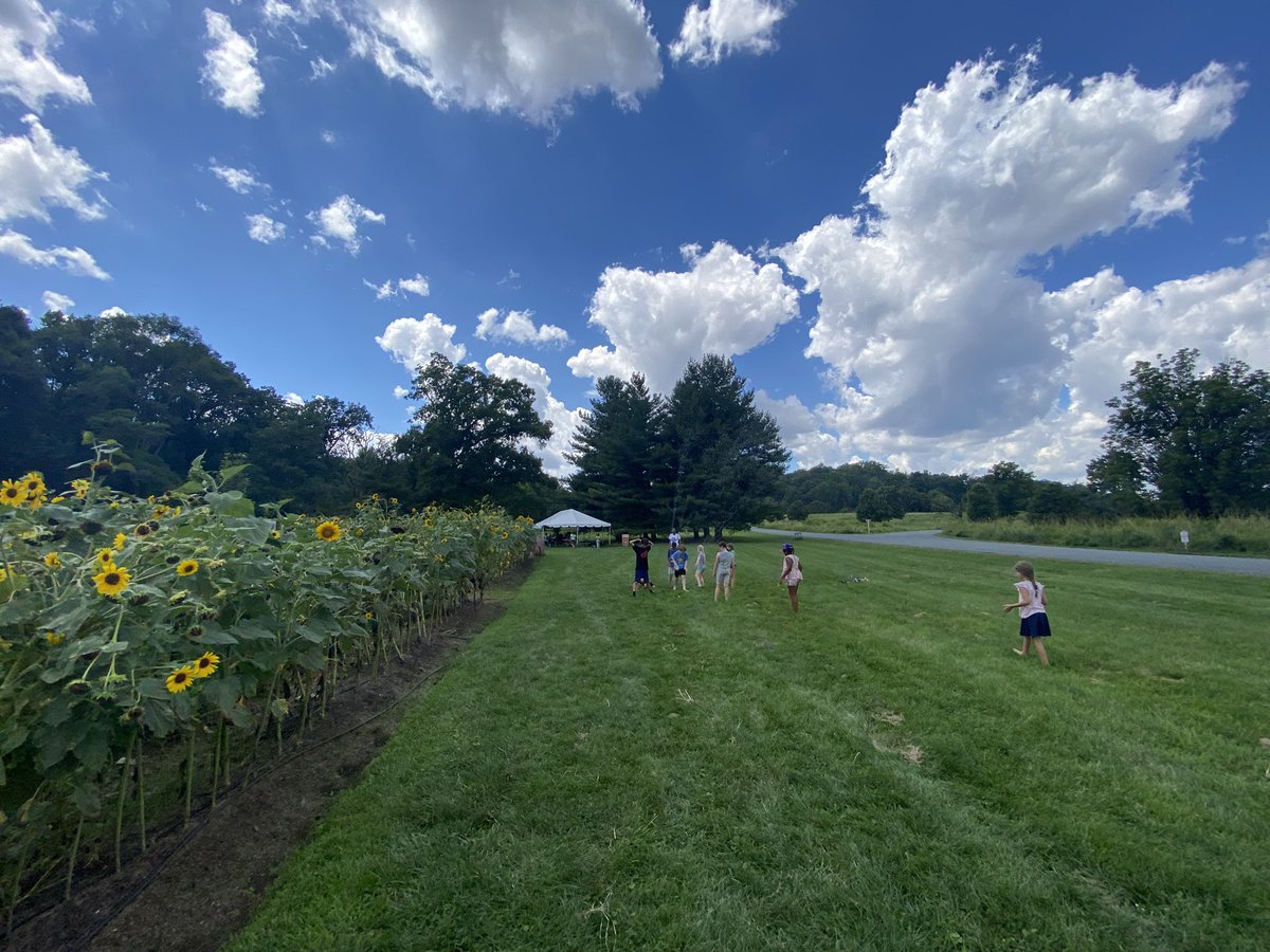 UrbanAdvSquad's tweet image. #ThisIsOutdoorLearning #Outdoors #SquadLife #Sprinklers #UASSummer2023 Thank You, @WashYouthGarden and @fonarboretum!
