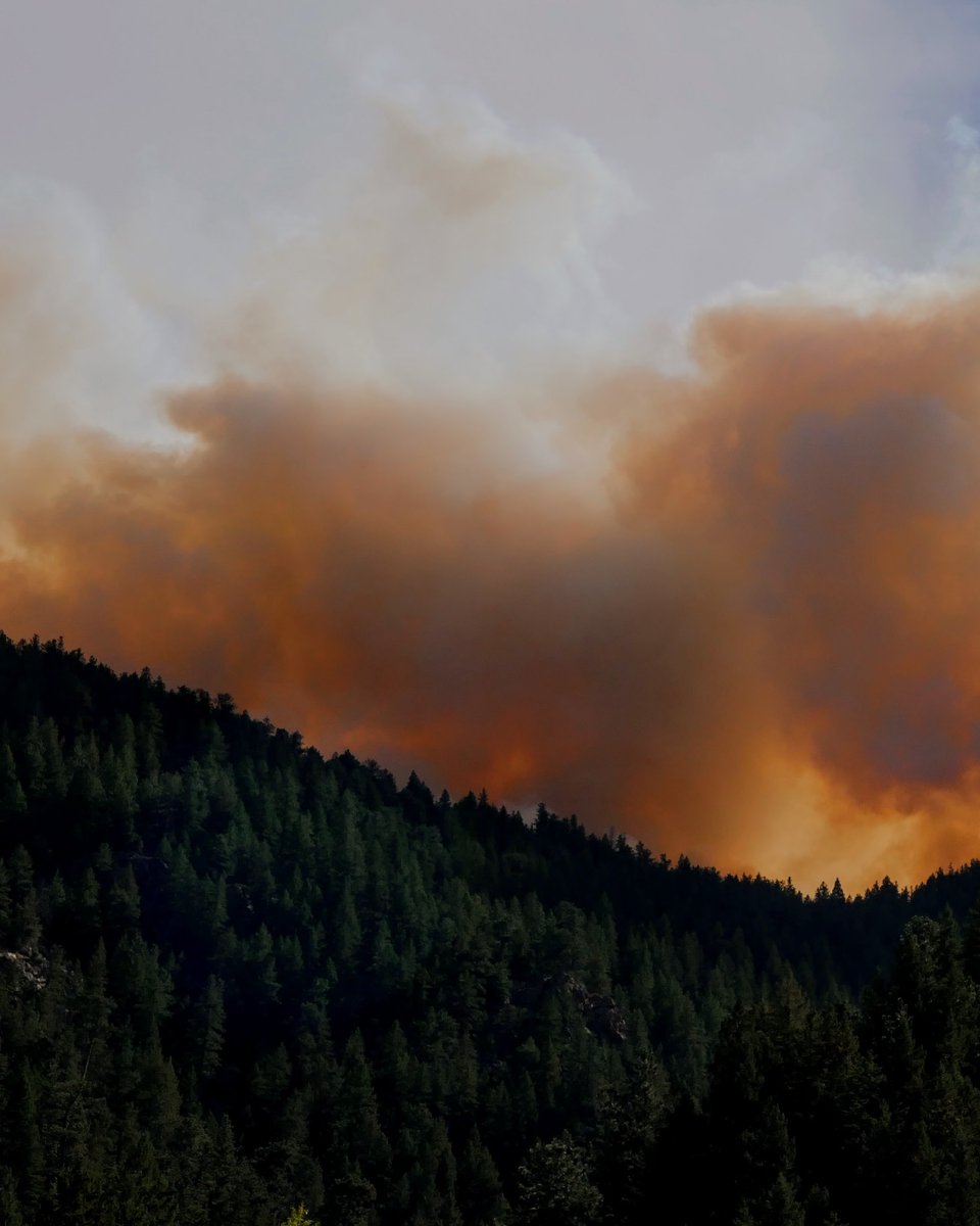 dexterrealty's tweet photo. We are heartbroken by the current forest fires here in BC and Maui. We will be making a donation to United BC Wildfire Fund and The Hawaii Wildfire Red Cross Emergency Fund. Please help if you can. Links in bio.

#supporthawaii #supportbc #wildfirerelief #britishcolumbia #hawaii https://t.co/JFRnJQPxFR