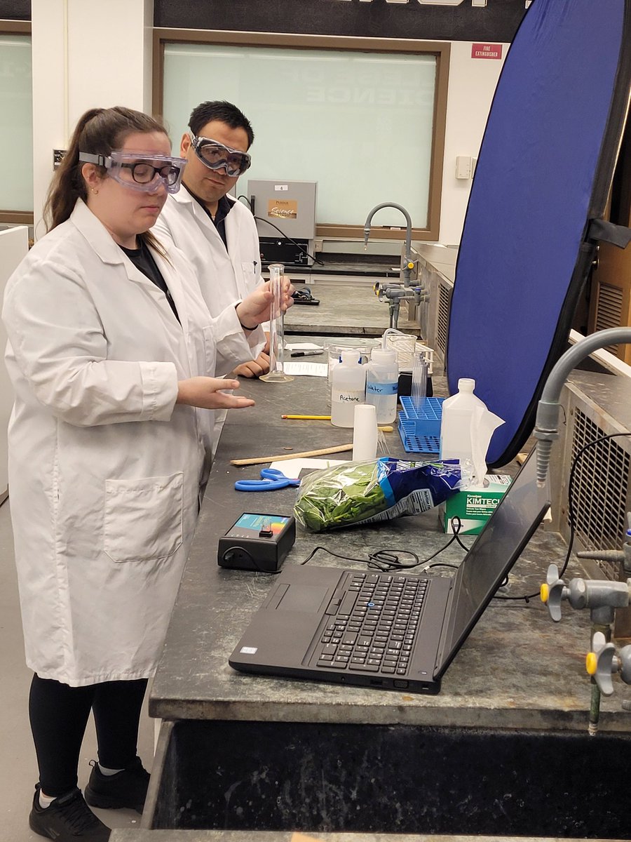 New virtual lab coming soon! @PurdueChemistry graduate students, Rachael and Leo from Prof. Tong Ren's research group, are developing a #plant #pigment #extraction lab for students to observe #tlc technique and #measure #absorbance of separated pigments. #spectroscopy #science