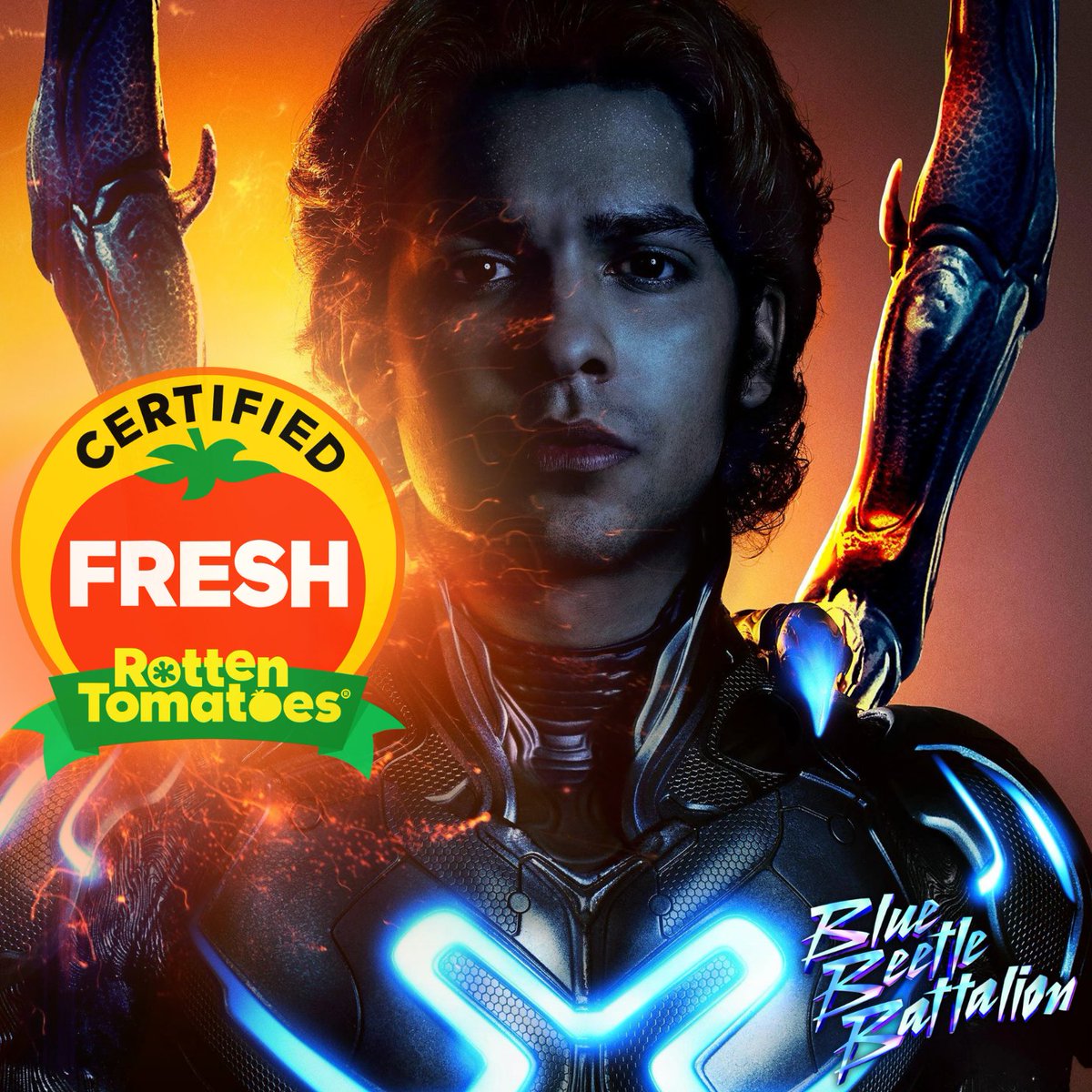 The Flash Film News on X: #BlueBeetle is officially Certified Fresh on Rotten  Tomatoes!  / X