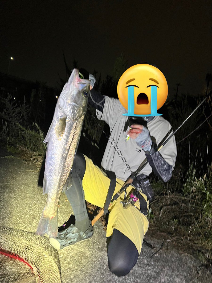 f_hiroto0311's tweet photo. 地元シーバス
雨の影響で死んだ川の水が復活！
これまでの経験から今日は釣れる潮
1投目から良い反応が！
が、2匹目をキャッチし、ペンチで針を外したその時？シーバスが暴れて針が返しまで指に深くフッキング
自力では危険と判断し病院へ…
刺さってる写真は痛々しいので❌
明日からも釣り生活は続く https://t.co/hkDesVZw4K