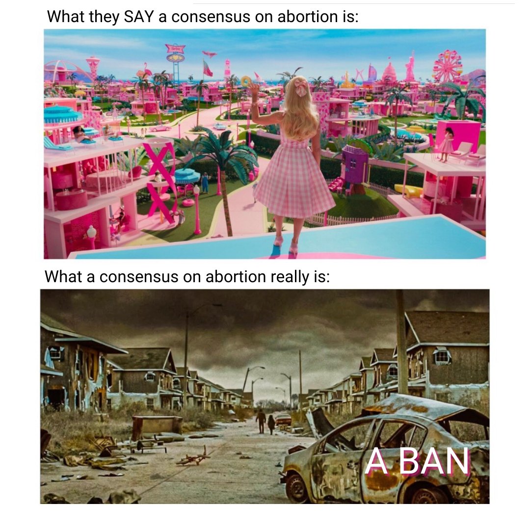 Consensus. Standard. Compromise.

We are not fooled.

They all mean BAN.
Make sure you are registered to vote and vote on Day One (Sept 22nd) to make sure Va maintains access to abortion care.

election day info ⬇️elections.virginia.gov/casting-a-ball…

#AbortionIsOnTheBallot
#ElectMoreWomen