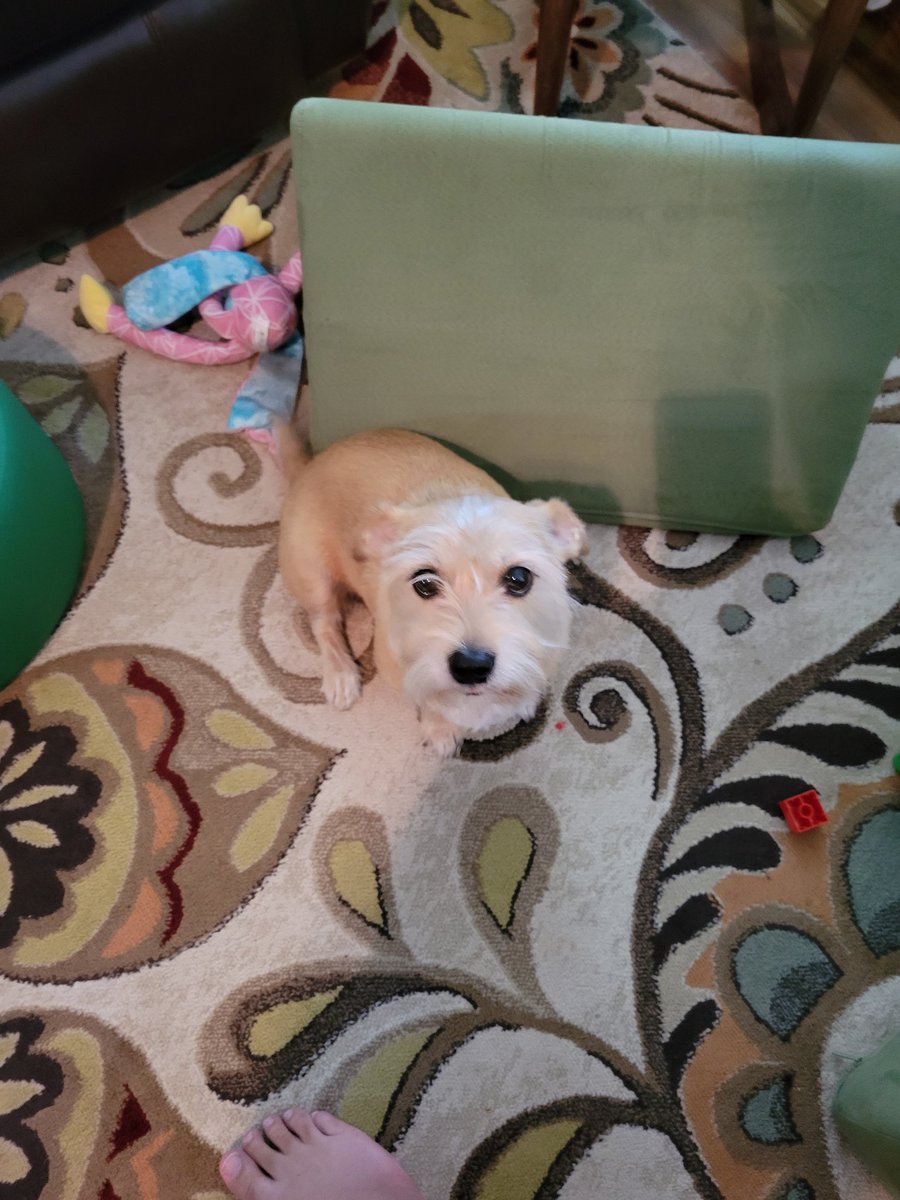 DFreshmaker tweet media