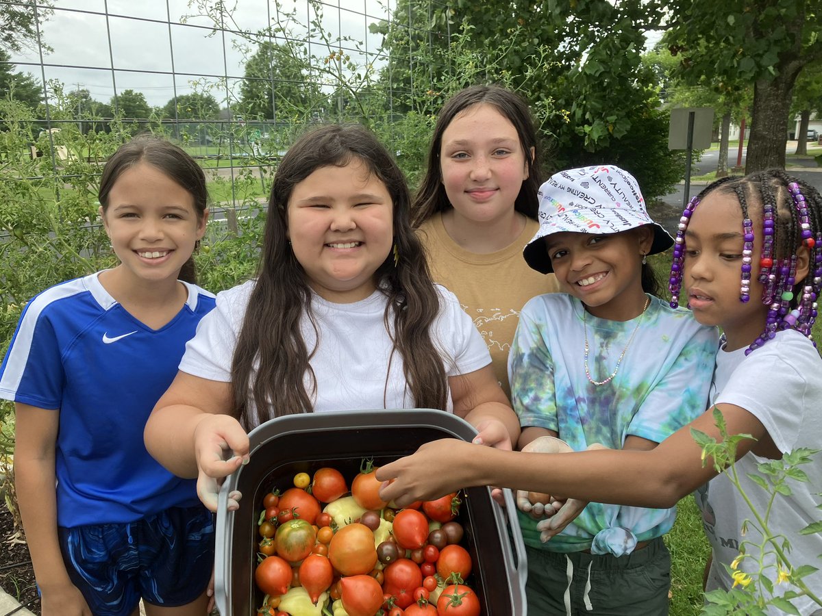 MCSfarmtoschool tweet media