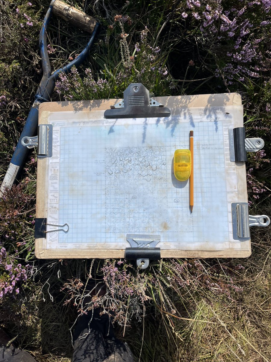 Archaeology Scotland (@archscot) on Twitter photo <a href="/UofGArchaeo/">UofG Archaeology</a> student, Amelia, was chuffed to finish her drawing of trench 2! She kindly let us take a photo of it and share it with you 🤩#Drumadoon2023 #ScotlandDigs2023 <a href="/UofGArchaeo/">UofG Archaeology</a> student, Amelia, was chuffed to finish her drawing of trench 2! She kindly let us take a photo of it and share it with you 🤩#Drumadoon2023 #ScotlandDigs2023