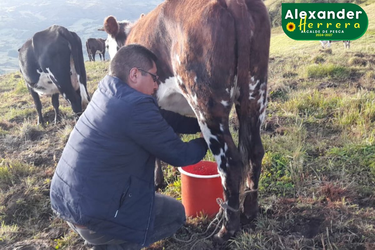 Ing. Alexander Herrera Rodriguez (@juntosporpesca) / Posts / X