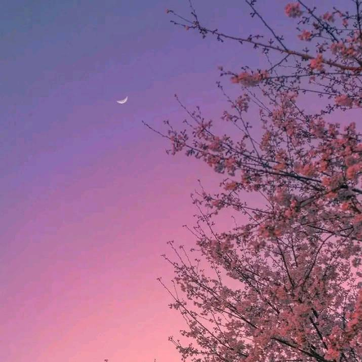 artindetails's tweet photo. pink skies https://t.co/1G0Yh0r5KZ