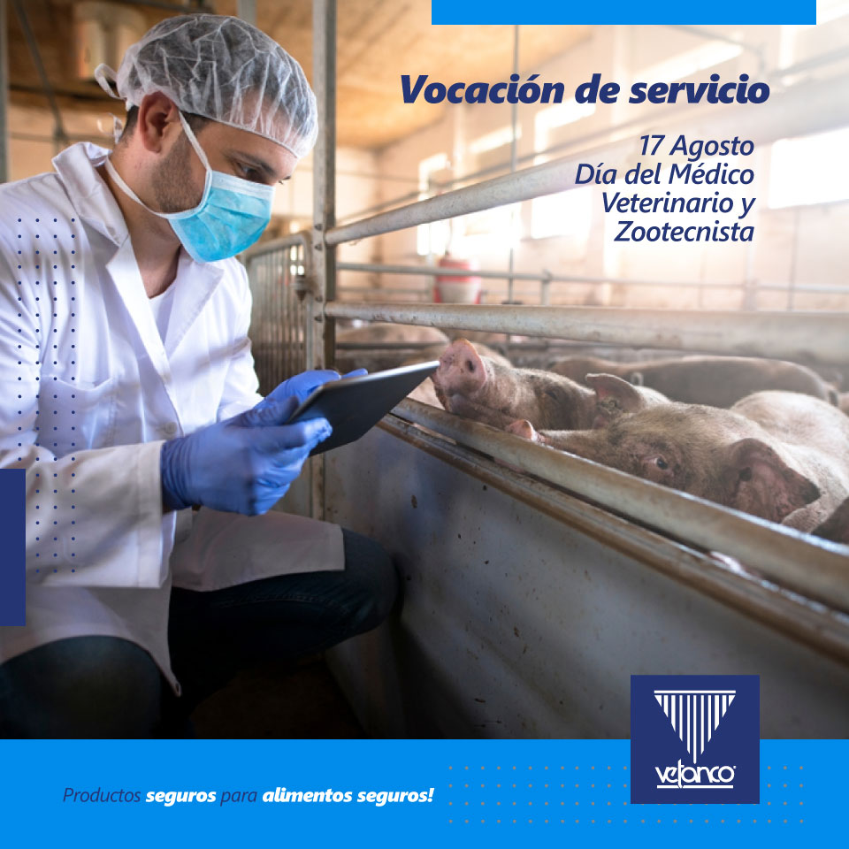 VetancoMexico's tweet photo. 👩‍🌾 Día del Médico Veterinario Zootecnista ✅
👏 Reconocemos en esta fecha a los hombres y mujeres que con cada una de estas profesiones desarrollan su vocación personal con compromiso y, de esta manera, contribuyen al crecimiento de nuestro país🤗

#DiaDelVeterinario #DiaDelMVZ https://t.co/y5YjJCnYLA