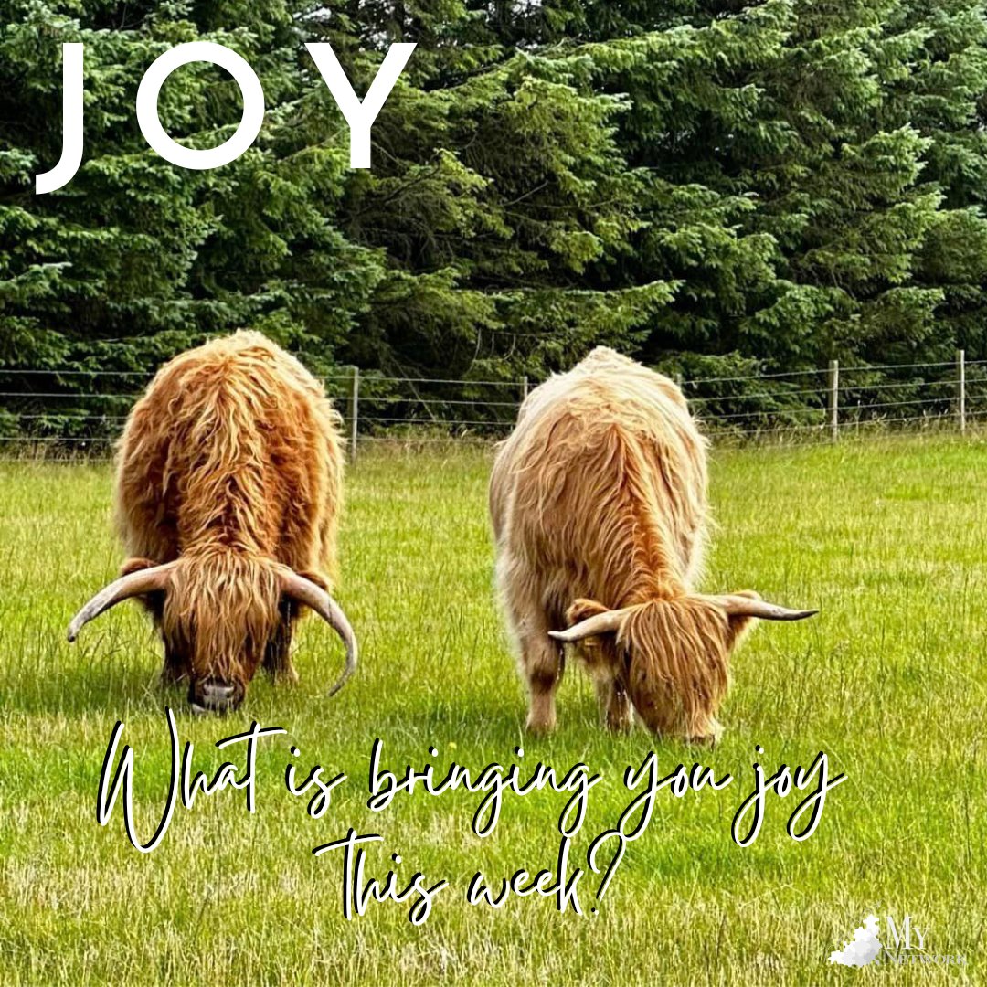 What is bringing you JOY this week?
Where do you find awe?
What has left you surprised and amazed?

#MyNetwork #MyNetworkINS #WhatBringsYouJoy #MakeAJoyfulNoise #FindYourPause #IMPACT #InPurpose #OnPurpose #ForPurpose