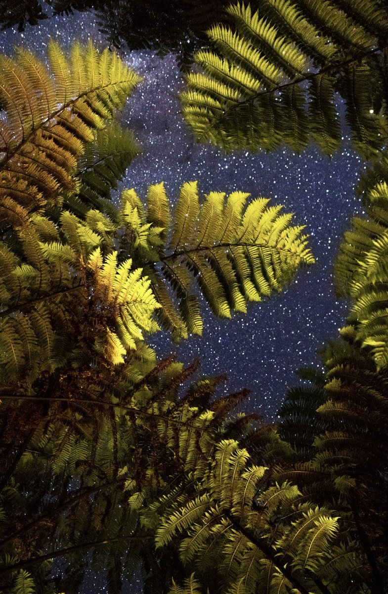 New Zealand night sky... 
#photooftheday #newzealand #photo #photograph