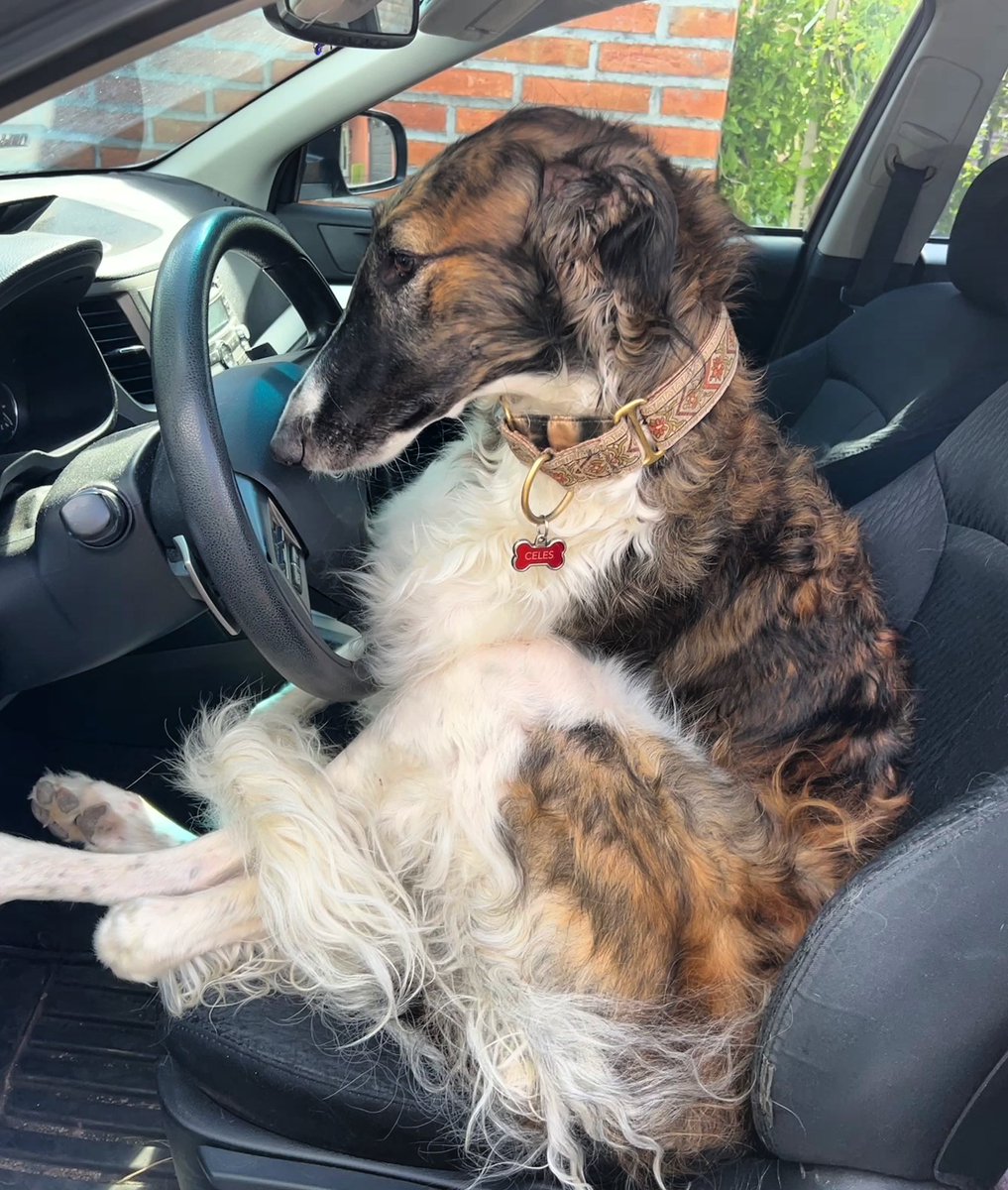 Before going into work be like…