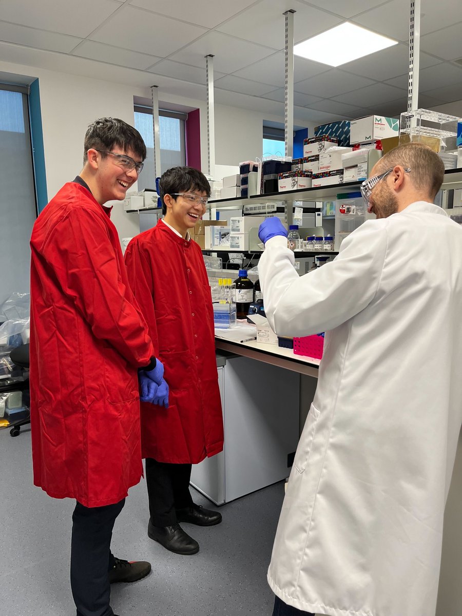 Enara_Bio's tweet photo. 1/3 Last week, it was our pleasure to welcome several students from In2scienceUK for their work placement.
#in2sci23 #STEM #Socialmobility https://t.co/KjgsA6r54G