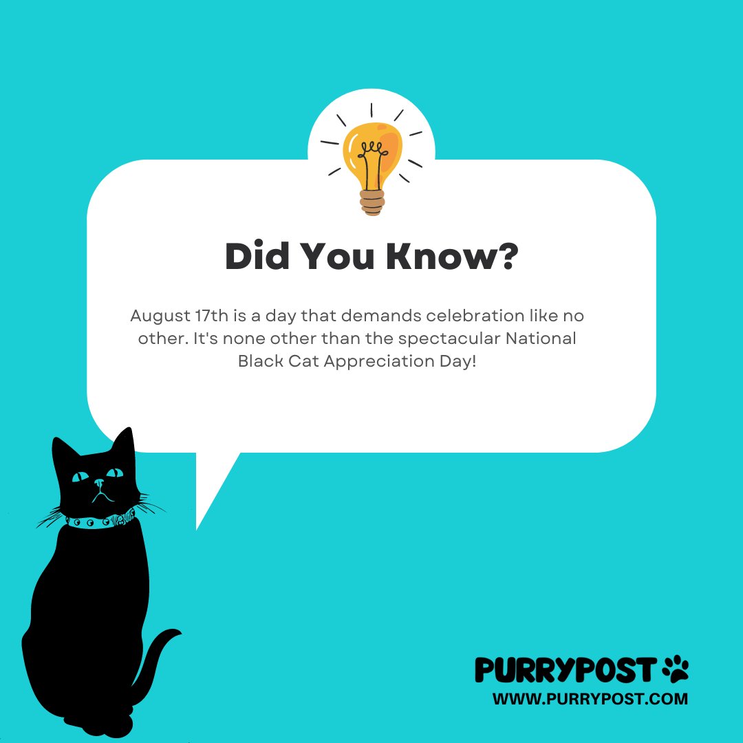 PurryPost's tweet photo. Attention all cat lovers and aficionados of feline fabulousness!  It's none other than the spectacular National Black Cat Appreciation Day! So, get ready to dive into a world of dark, mysterious charm as we pay homage to our ebony-coated feline friends.
#NationalBlackCats https://t.co/bsPmHp2mDE