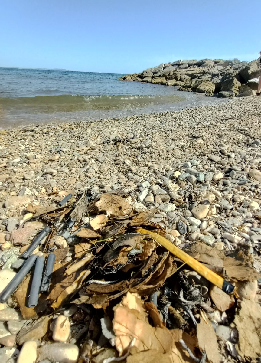 benjamin_carter's tweet photo. 🎆 Feu d'artifice écolo à @villedhyeres : il apparaît que la ville a décidé de répandre de la magie sous-marine en partageant des morceaux étoilés d'explosifs ! Qui a besoin de poissons quand on peut avoir des paillettes explosives ? 💥🐟 #HyeresSeaTreasures #FireworksGoneFishing https://t.co/3o8qvikNZG