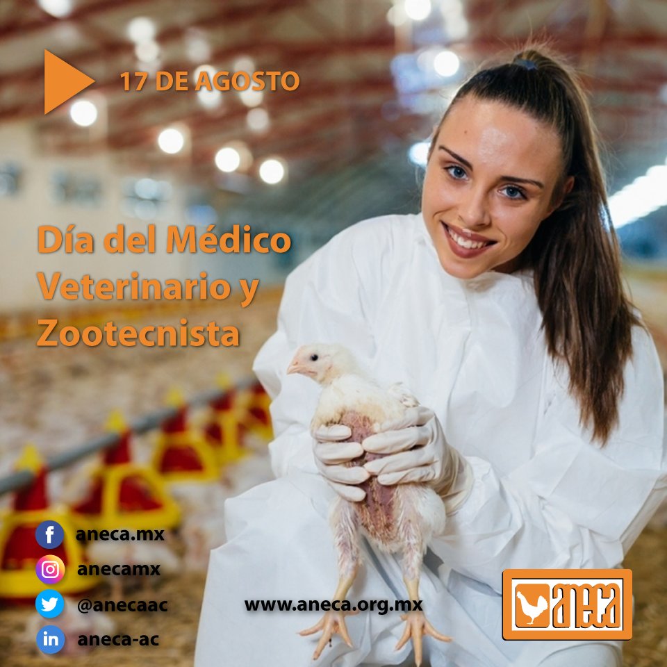 Hoy celebramos el Día del Médico Veterinario y Zootecnista en conmemoración a la fundación de la primera escuela de medicina veterinaria, para reconocer el trabajo y dedicación de los médicos veterinarios. ¡Muchas felicidades!

#DíadelMVZ #DíadelVeterinario #DíadelZootecnista