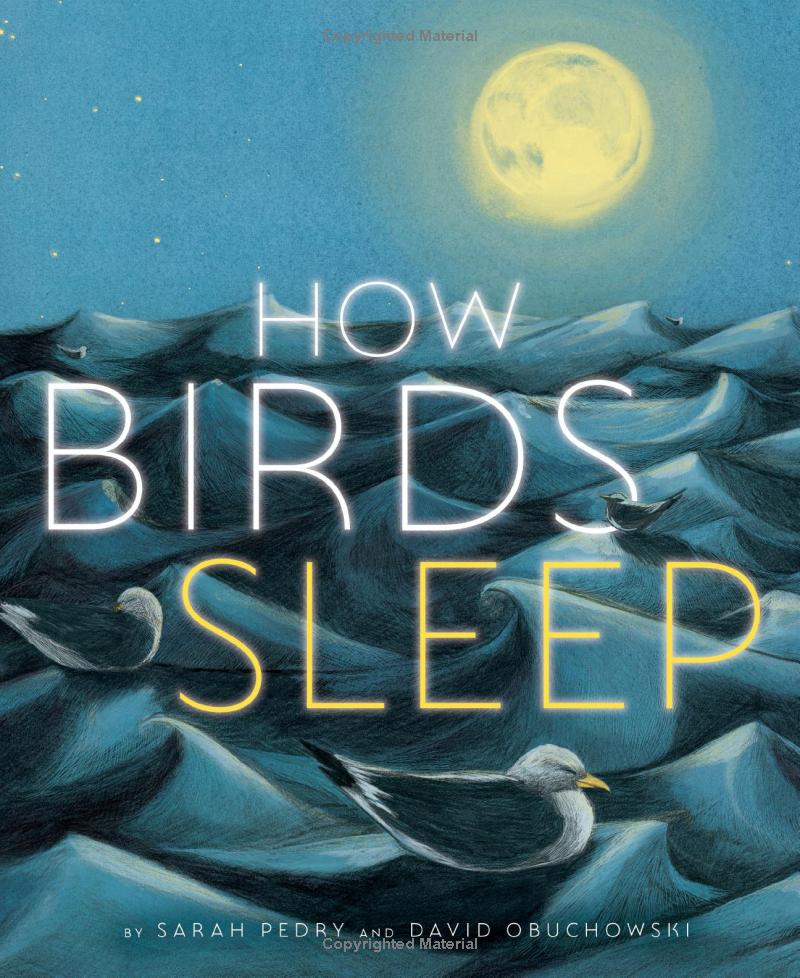 LynnEllenRusso's tweet photo. I recently bought this book for an 8-year-old boy. It's very informational but also fun and the pictures are really colorful and beautiful! I highly recommend it!

https://t.co/9jybofqV30 https://t.co/wTKLXoQu4T