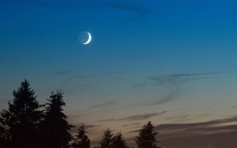 pinderbrothers's tweet image. The exhale of evening
As sunlight spills sideways
Fills all your senses
And soothes now the tired eyes
Green sky, an ointment
Salve to the thinking mind
Slows down the candle
Consumed in it’s own decline

—Pinder
#Pinder #WordsofPinder  #PoetryOfPinder