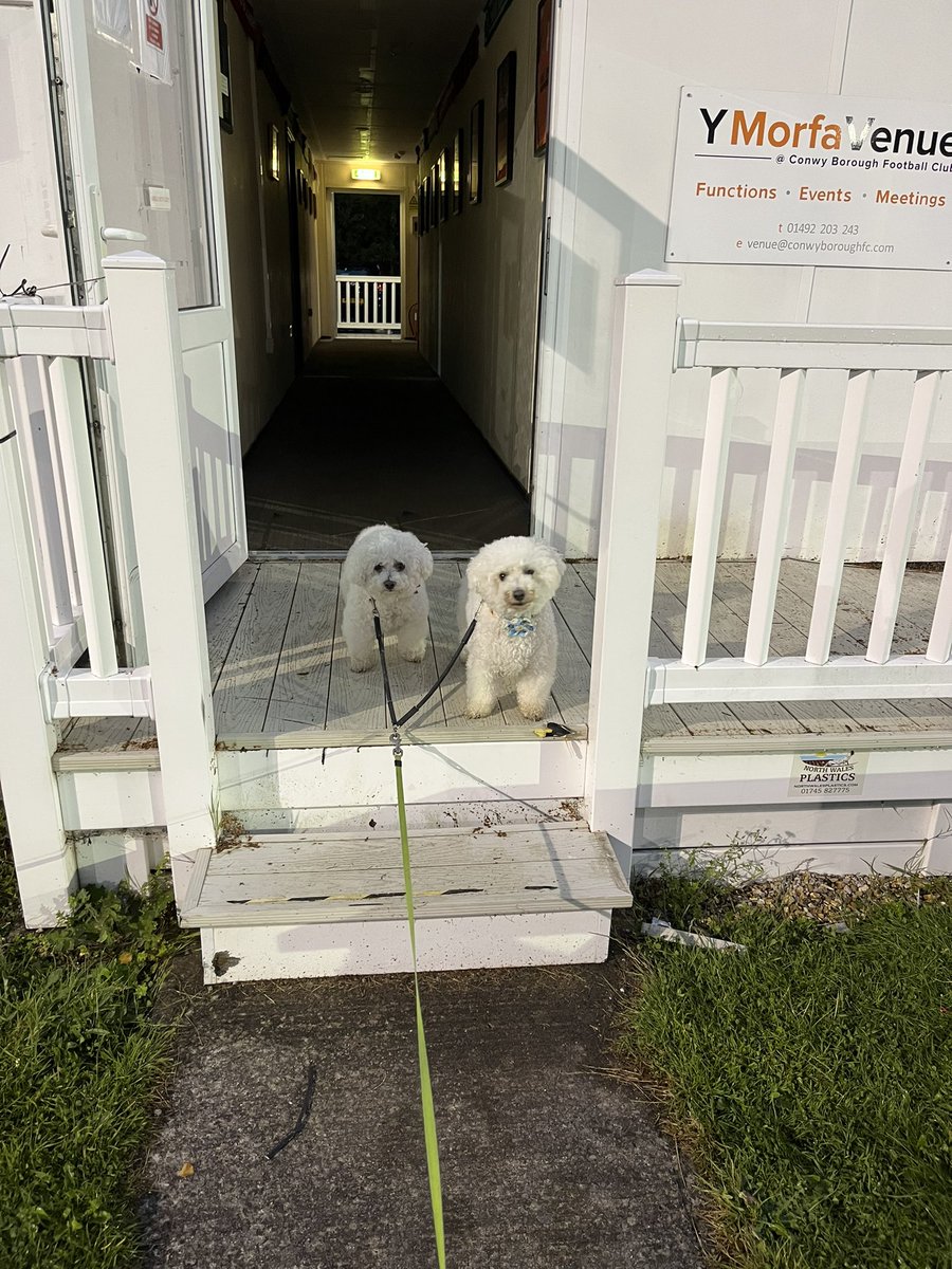 Ian Saunders (@cwrwgwrw) on Twitter photo โMilou & Snowy, do you want to watch <a href="/ConwyBoroughFC/">Conwy Borough FC ๐ณ๏ธโ๐</a> Vs <a href="/CPDYFelin1977/">CPD Y Felinheli</a> ?โ โNo, Dad, we want to go for a pint in the clubhouseโ. โOkay then!โ <a href="/nonleaguedogs/">nonleaguedogs</a> โMilou & Snowy, do you want to watch <a href="/ConwyBoroughFC/">Conwy Borough FC ๐ณ๏ธโ๐</a> Vs <a href="/CPDYFelin1977/">CPD Y Felinheli</a> ?โ โNo, Dad, we want to go for a pint in the clubhouseโ. โOkay then!โ <a href="/nonleaguedogs/">nonleaguedogs</a>