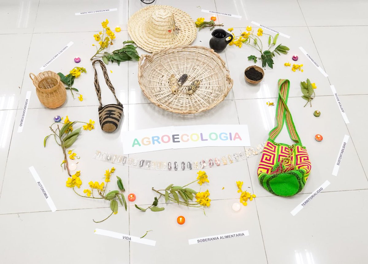 MinAgricultura's tweet photo. 🧵 Durante el acto de apertura de la mesa técnica, la viceministra de Asuntos Agropecuarios, Aura Duarte, destacó la importancia de una política de agroecología, de los bioinsumos y de descarbonizar el sector agropecuario. 🌱💚 https://t.co/SIHxjvTuD9