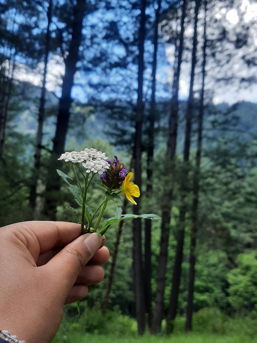 proudmoon_'s tweet photo. In the middle of nowhere! https://t.co/4p2QzV8DrY