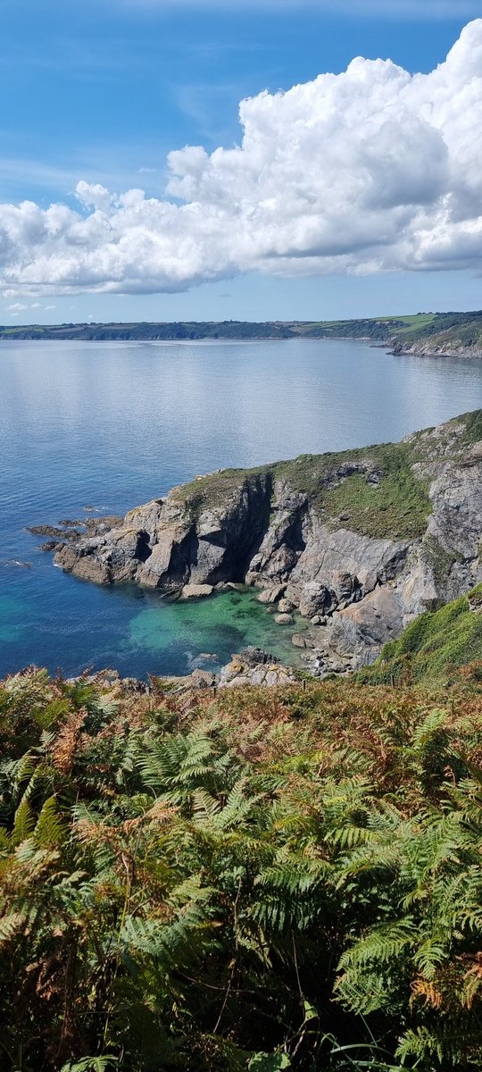 I'm having a wonderful time in Cornwall,  dogsitting near Falmouth. Love it down here!