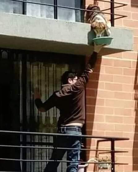 motrilensa's tweet image. A picture can speak volumes... 🙌💓🐕 Witnessing a gentle heart notice their four-legged neighbor stranded on the terrace, starved and thirsty.
#imagecapture #dailysnap #capturedmoment #ImageEnhancingContest #TopImageContest #snapshotcontest
#emotiontestemotiontest…