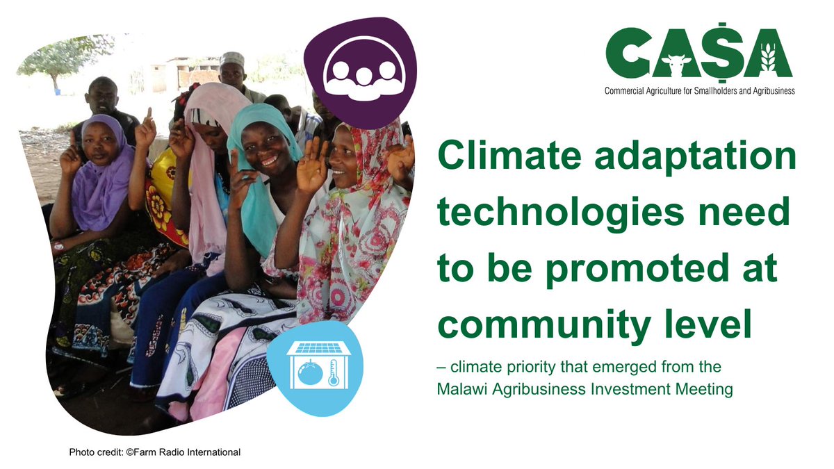 CasaProgramme's tweet image. Addressing climate impact on farming!🌱 Insights from the Malawi Agribusiness Investment Meeting shed light on effective ways to spread awareness among small-scale farmers.
More, here: bit.ly/Malawi-investm…