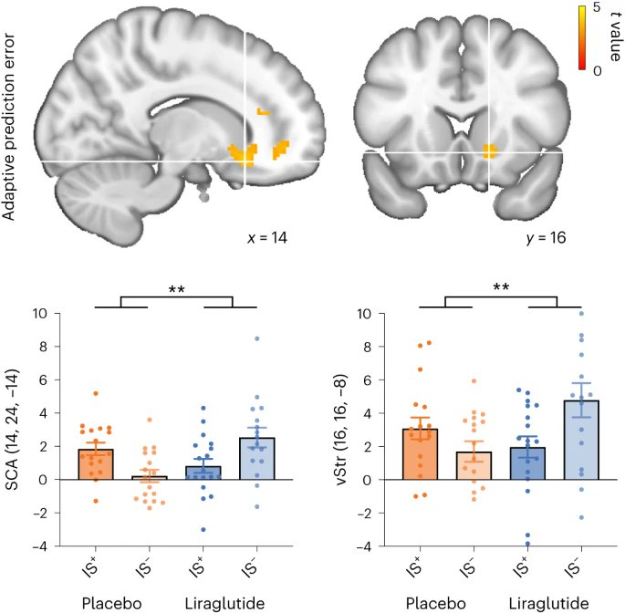 Eric Topol (@erictopol) on Twitter photo An anti-obesity GLP-1 drug restores associative learning (under dopaminergic midbrain control), as shown in a randomized trial with a single dose
nature.com/articles/s4225… <a href="/NatMetabolism/">Nature Metabolism</a> An anti-obesity GLP-1 drug restores associative learning (under dopaminergic midbrain control), as shown in a randomized trial with a single dose
nature.com/articles/s4225… <a href="/NatMetabolism/">Nature Metabolism</a>