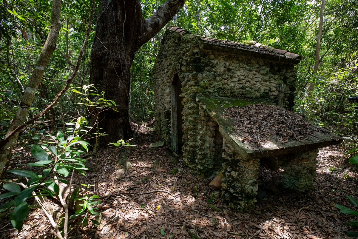 You may have never seen it but hidden in the trees at Royal Palm is the last remaining structure built by the Florida Federation of Women’s Clubs (FFWC).

NPS photo

#Everglades #EvergladesNationalPark #FindYourPark #EncuentraTuParque