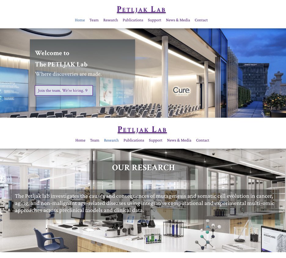 Mia Petljak (@mpetljak) on Twitter photo We are live <a href="/nyugrossman/">NYU Grossman School of Medicine</a> !
petljaklab.com
🧫💻 Looking for exper. & comp. staff,postdocs,trainees
🧬 To delve w us into the somatic mosaicism in cancer & aging
🌇 In CURE facilities in the heart of Manhattan cure.345pas.com
📧 mia.petljak@nyulangone.org We are live <a href="/nyugrossman/">NYU Grossman School of Medicine</a> !
petljaklab.com
🧫💻 Looking for exper. & comp. staff,postdocs,trainees
🧬 To delve w us into the somatic mosaicism in cancer & aging
🌇 In CURE facilities in the heart of Manhattan cure.345pas.com
📧 mia.petljak@nyulangone.org
