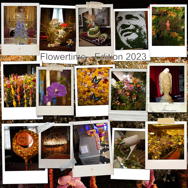Miguel_Discart's tweet image. Flowertime : Edition 2023 #Flowertime #Flowertime2023 #Belgium #BRU #Brussels #Bruxelles #BXL #BXLOVE #Fleurs #Flowers #Grandplace #GreatPlace #Hoteldeville  - flickr.com/photos/1516398…