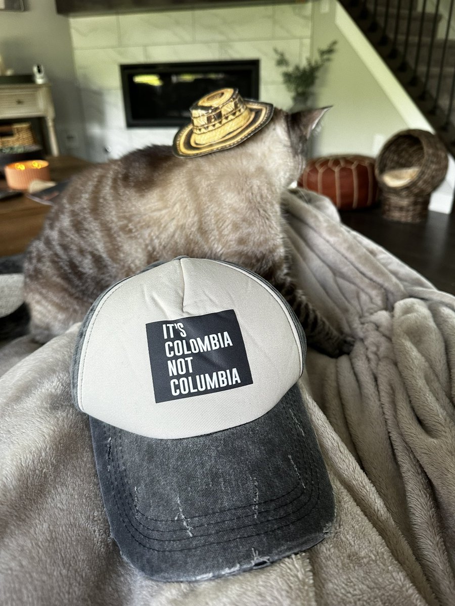 Sebastián Saavedra tweet media