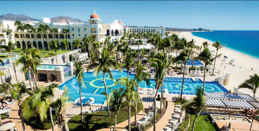 Meta Rebelz 🐾🦴 tweet media