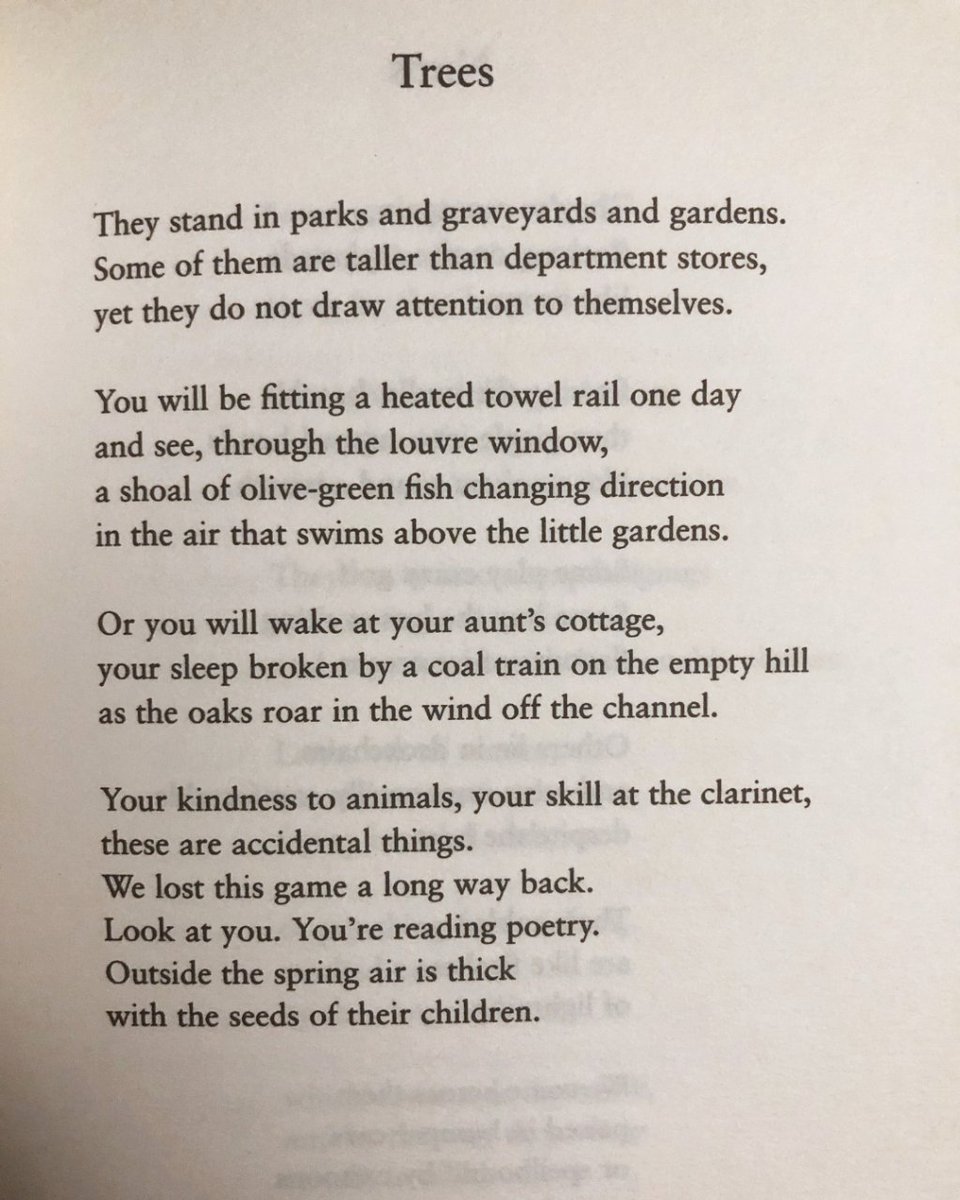 readalittlepoem's tweet image. Day 17 of The Sealey Challenge. Today&apos;s offering is The Talking Horse and the Sad Girl and the Village Under the Sea by Mark Haddon, published by Picador (@picadorbooks), 2005.

#TheSealeyChallenge #sealeychallenge #thesealeychallenge2023