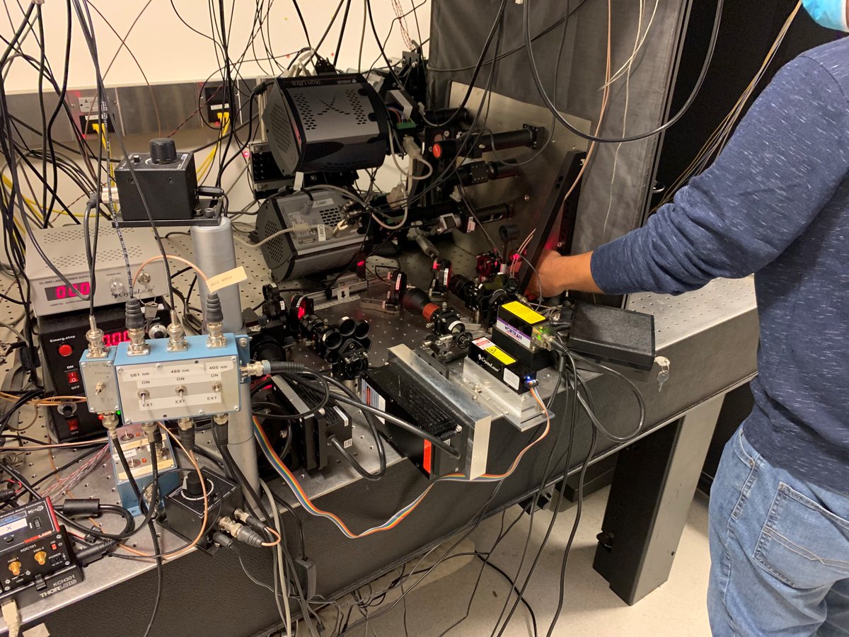 Michael Reiche (@mike_r_oscope) on Twitter photo BIG congrats to Eric, the <a href="/ardemp/">Ardem Patapoutian</a> lab, and the team at <a href="/AICjanelia/">AIC at Janelia</a> on this frankly mind-boggling research! This was an incredibly memorable project to be a part of during the final stages of my time at <a href="/HHMIJanelia/">HHMI | Janelia</a>. Here's <a href="/JesseAIC/">Jesse Aaron</a> doing his magic behind the scenes on the #iPALM BIG congrats to Eric, the <a href="/ardemp/">Ardem Patapoutian</a> lab, and the team at <a href="/AICjanelia/">AIC at Janelia</a> on this frankly mind-boggling research! This was an incredibly memorable project to be a part of during the final stages of my time at <a href="/HHMIJanelia/">HHMI | Janelia</a>. Here's <a href="/JesseAIC/">Jesse Aaron</a> doing his magic behind the scenes on the #iPALM