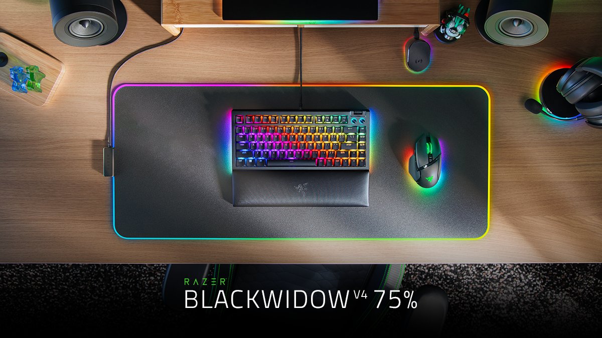 R Λ Z Ξ R 🇫🇷 tweet media