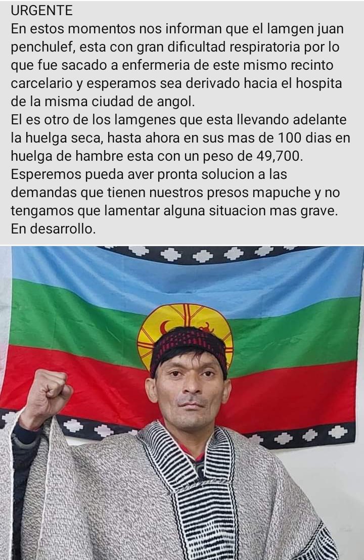 Taimante tweet media