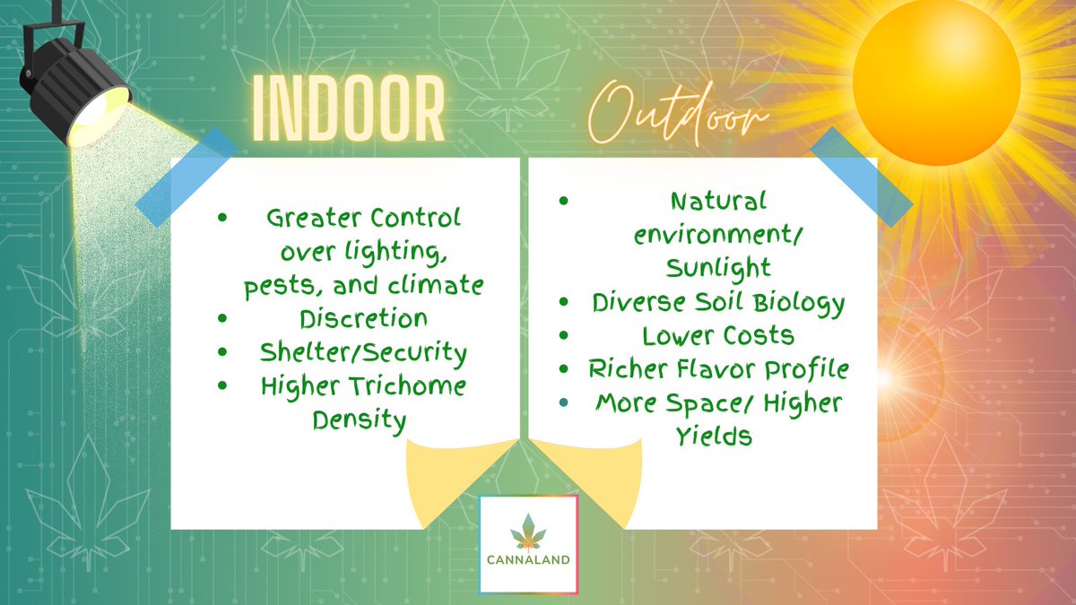 TheCannaland's tweet photo. Do you have a preference when growing or consuming? List your reasons ⤵️

#CannabisCommunity https://t.co/Uis1gDYlmV