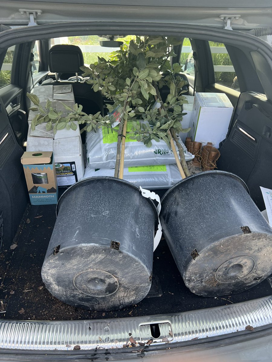 girardredwine's tweet photo. The #AudiTruck has a little bit of everything today. And she found her limit on size of apple trees that she can handle. I feel like Clark Griswold driving. Smells good up front though. #nosap https://t.co/GjBwlzWILZ