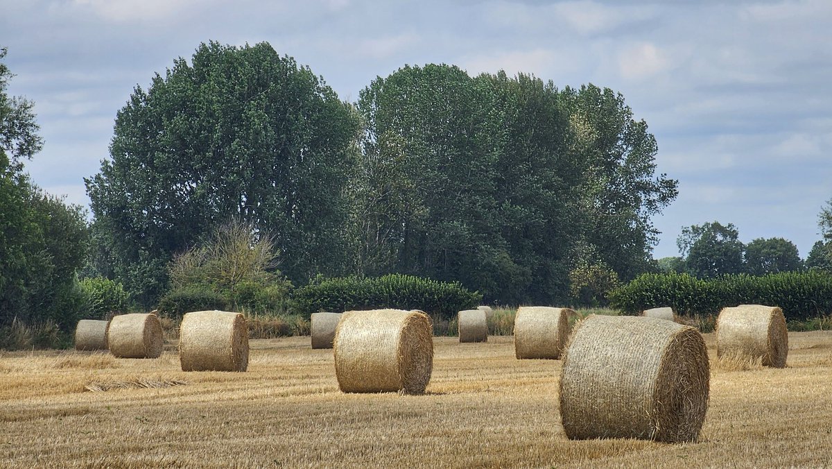 Lovely mooch around #Cawood today. #NorthYorkshire