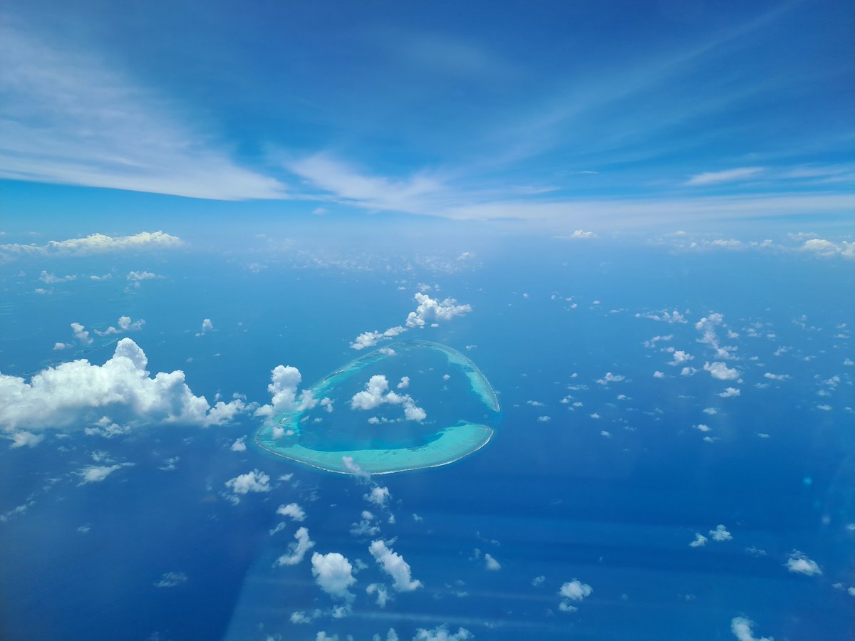 metat3000's tweet photo. Flying is good over Maldives:))
#THY #flights #A330 https://t.co/aT9kge8x7G