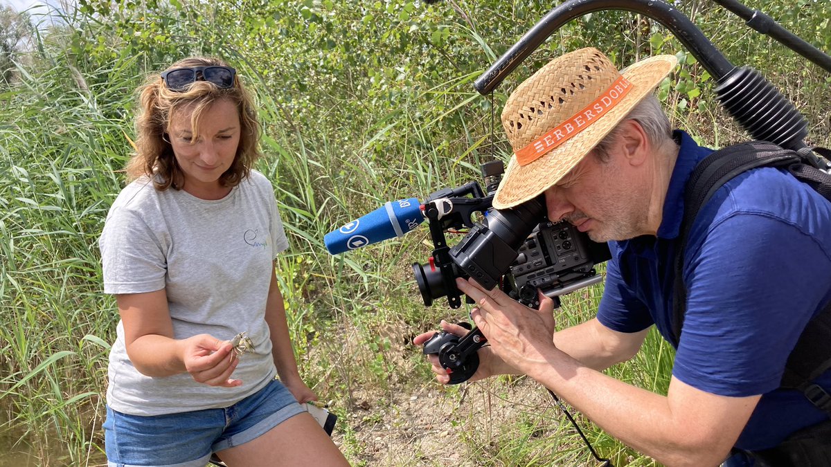 ProjectEmysR's tweet photo. Day3 of ARTE reportage brought @KTheissinger and TV team in #Lauterbourg + #NeuburgamRhein where contrasted socio-ecological contexts are considered for identifying best socio ally-supported practices  of #wetlands #restoration #ForNature @Alsace @KreisGER 
@LOEWE_TBG @unistra https://t.co/J5mmZLKnZT