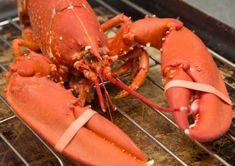 ENTCS's tweet image. There is still time to book our Fish and Shellfish Workshop this Saturday!

In this one-day workshop, you'll learn how to cook delicious fish and shellfish recipes! 

Click the link to book your spot - entcs.co.uk/product/fish-a…

#Edinburgh #EdinburghFestival #EdinTattoo