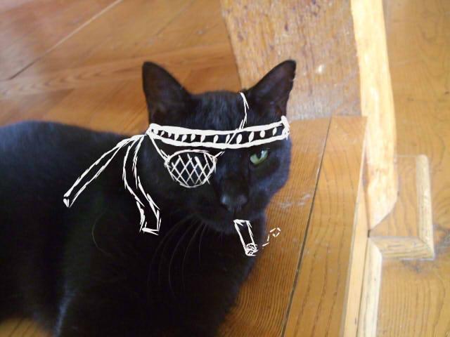 Otatron's tweet photo. @LederGames My favorite black cat is and shall likely remain for the foreseeable future, my own lost scoundrel Widdo... rest well, buddy.

(Not to be a downer, lol.) https://t.co/fzeQisS2pa