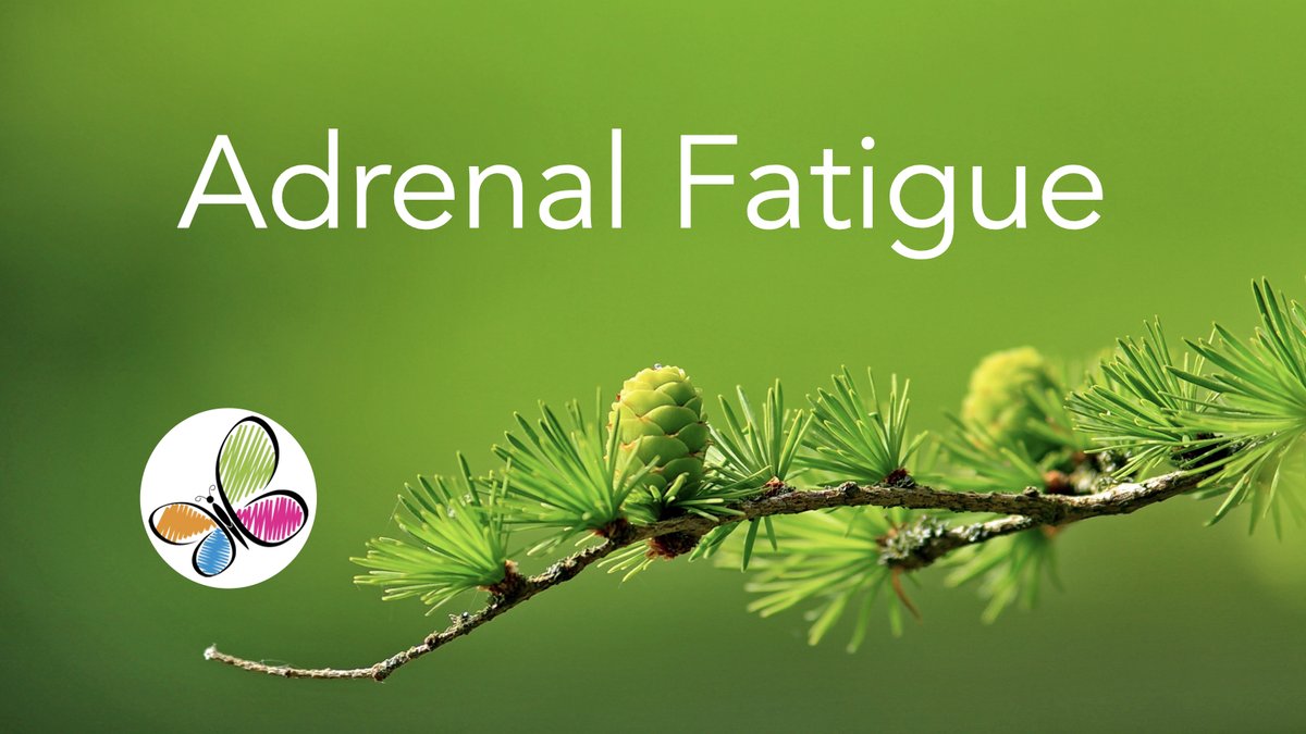 flowsforlife's tweet photo. Jin Shin Jyutsu can help support the adrenals, which are crucial for maintaining energy levels and coping with stress.   Practice for two minutes or longer if it feels beneficial.  #jinshinjyutsu Check out this blog post for more... https://t.co/6n3qCTqm1d https://t.co/mayNZN3D3A